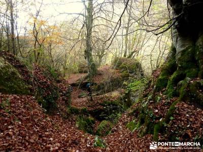 Parques Naturales Urbasa-Andía y Aralar - Nacedero del Urederra; excursiones senderismo